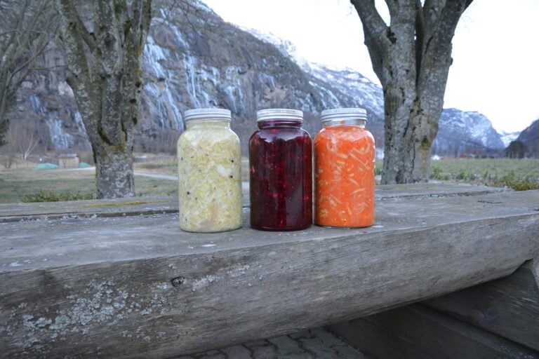 Fermenterte grønnsaker på glass.