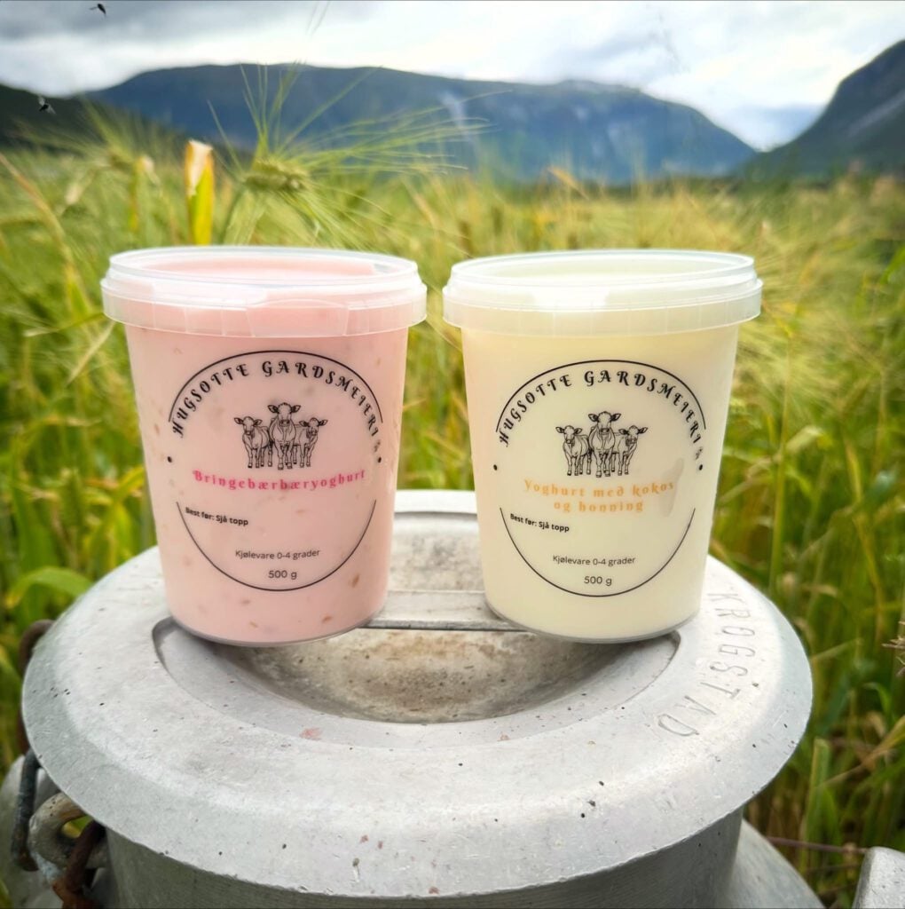 Yoghurt fra Hugsotte meieri