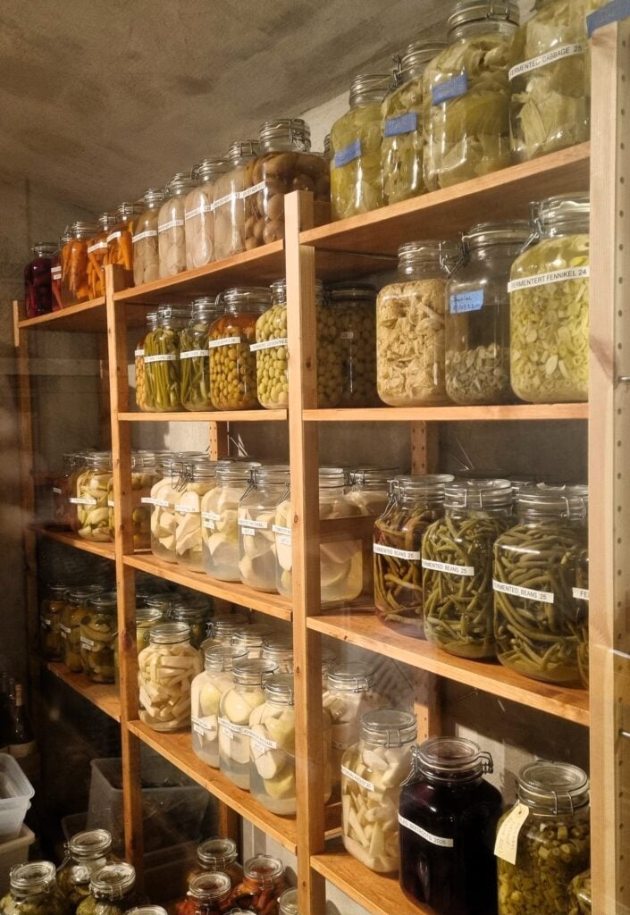 Fermenterte grønnsaker i ulike varianter. Foto: Nofima